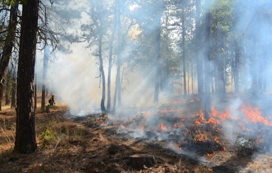 Bug Fire Explodes to 6,500 Acres, Forces Cold Springs and Silver Knolls to Flee