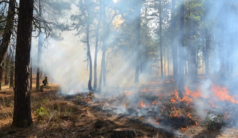 Bug Fire Explodes to 6,500 Acres, Forces Cold Springs and Silver Knolls to Flee