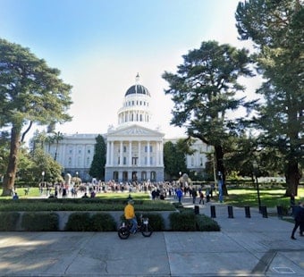California Cockfighting Bill Dies After Hundreds Protest at Capitol