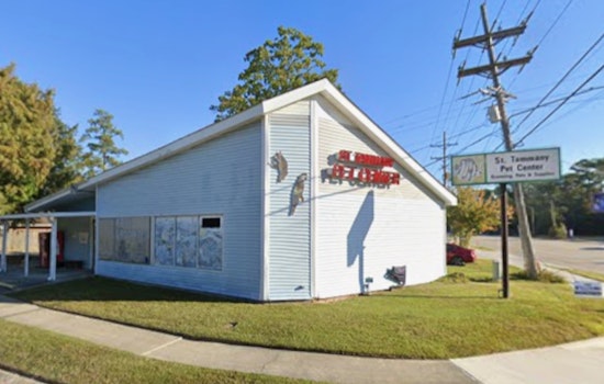 Car Crashes Into Slidell Pet Center, Photos Show Damage