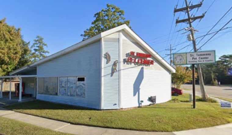 Car Crashes Into Slidell Pet Center, Photos Show Damage