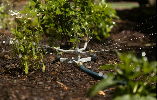 Cedar City Bans Outdoor Watering After Well Pump Failure, Leak Springs Up