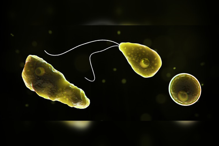 Central NC Teenager Critically Ill After Rare Brain-Eating Amoeba Infection