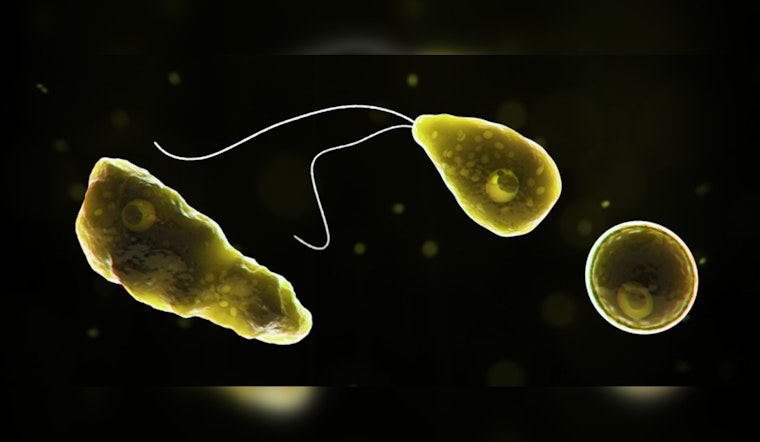 Central NC Teenager Critically Ill After Rare Brain-Eating Amoeba Infection