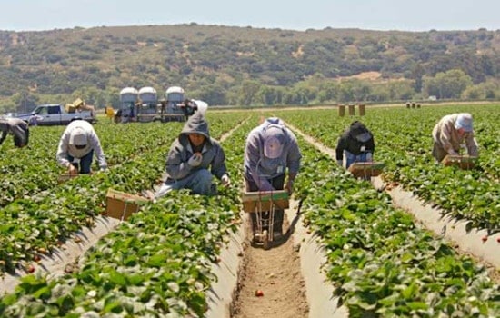 Central Valley on Measles Alert as 140 Farmworkers Exposed in Arizona Tracked