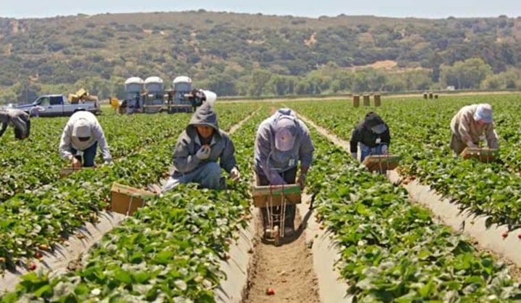 Central Valley on Measles Alert as 140 Farmworkers Exposed in Arizona Tracked