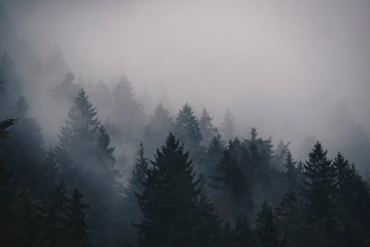 Charlotte Wakes in Fog, Bakes in Brutal Heat Wave