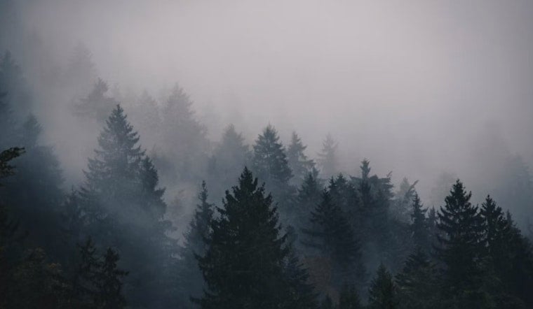 Charlotte Wakes in Fog, Bakes in Brutal Heat Wave