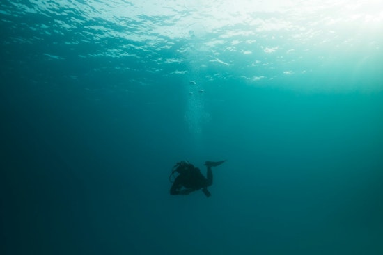 Chicago Photographer Loses Wedding Ring 26 Feet Down at Air and Water Show, Diver Finds It