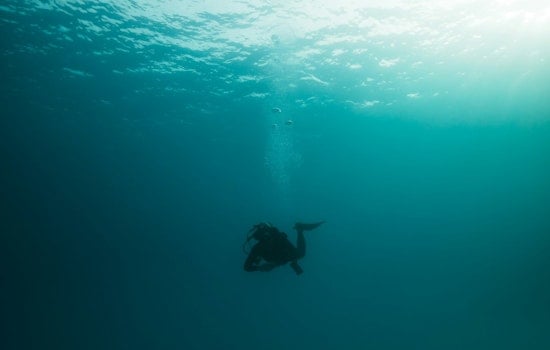 Chicago Photographer Loses Wedding Ring 26 Feet Down at Air and Water Show, Diver Finds It