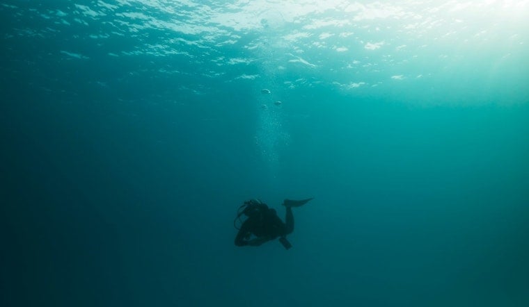 Chicago Photographer Loses Wedding Ring 26 Feet Down at Air and Water Show, Diver Finds It