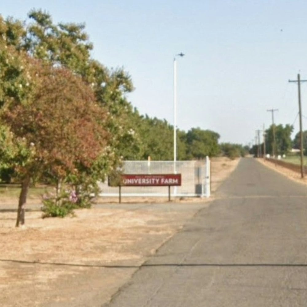 Chico State Farm Hosts Sunset Dinner as Sierra Oro Event Returns Oct. 11