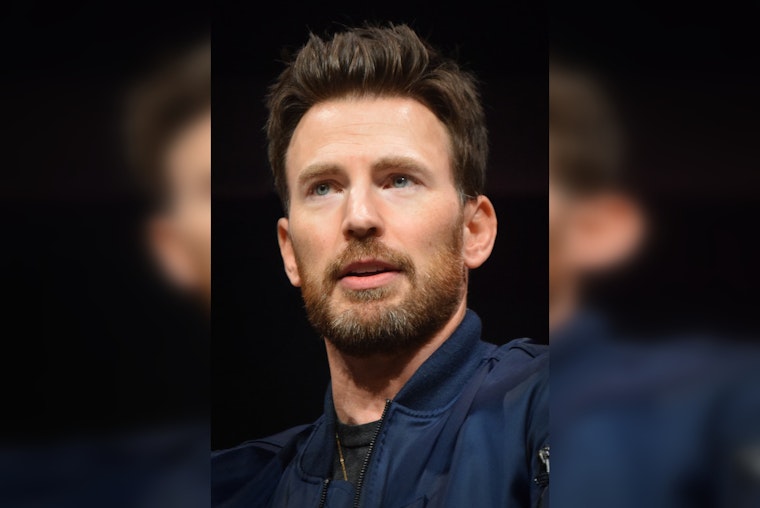 Chris Evans Films Dedham Shelter Dogs Greg and Carly, Now Adopted as Callie