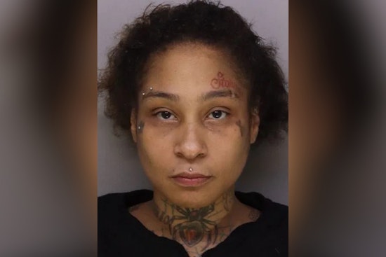 Cincinnati Woman Accused of Using Kids in $119 Hair Palace Heist, Resisting Arrest