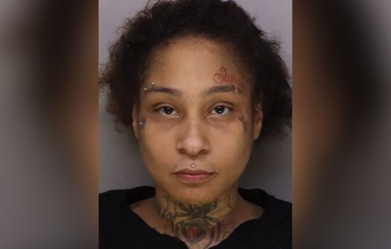 Cincinnati Woman Accused of Using Kids in $119 Hair Palace Heist, Resisting Arrest