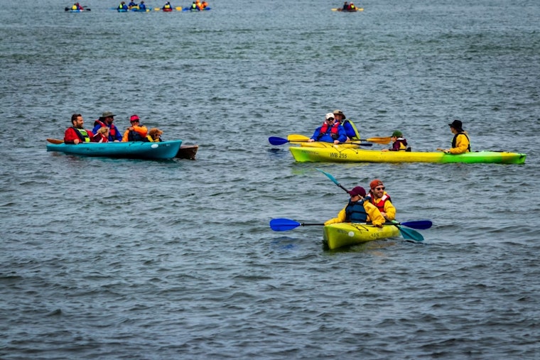 Cincinnati's Paddlefest Beats Storms, Sets World Record With 1,440 Paddlers