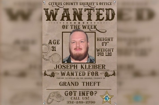 Citrus County Sheriff Hunts 6-Foot-7 Fraud Fugitive After No-Show