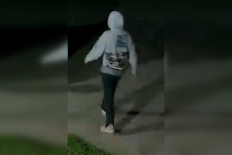 Clarksville Police Hunt Suspect Caught on Camera in Car Break-In