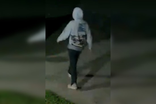 Clarksville Police Hunt Suspect Caught on Camera in Car Break-In
