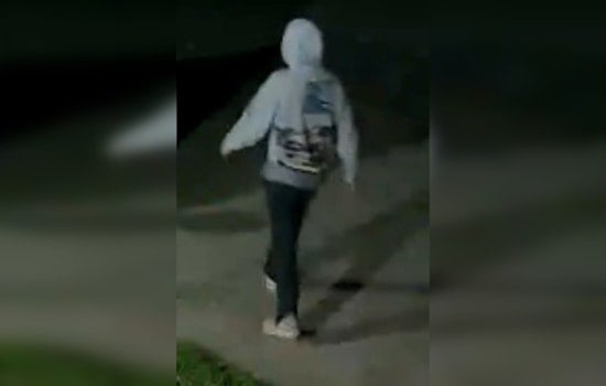 Clarksville Police Hunt Suspect Caught on Camera in Car Break-In
