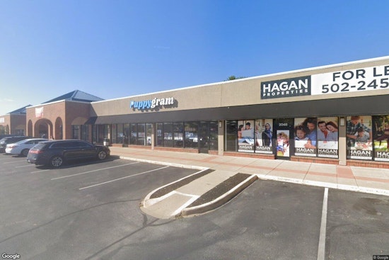 Clarksville Sues Puppygram Over Vet Checks, Pricing Allegations