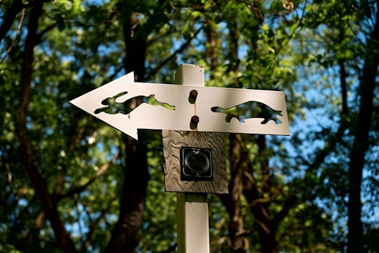 Clarksville Teen's Eagle Scout Project Could Help 911 Find Lost Hikers