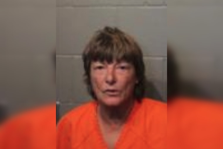 Cleveland County Woman Torches Trailer After Dog Care Dispute, Deputies Say