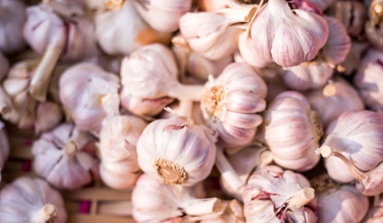 Cleveland Garlic Festival Hits Shaker Square With Ice Cream, $6,000 for Local Chefs