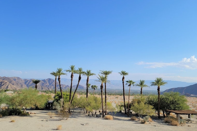 Coachella Valley Teen Honored for Helping Confused Woman in 100-Degree Heat
