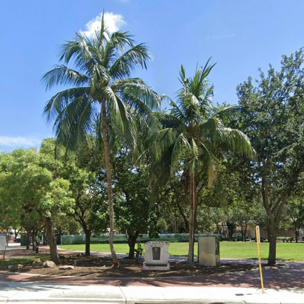 Coconut Grove's Beloved Ophelia Bakery Rolls Into Fort Lauderdale This Fall