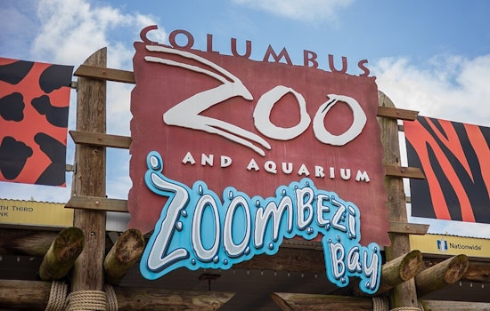 Columbus Zoo's Lantern Festival Returns With 70-Plus Glowing Displays This Fall