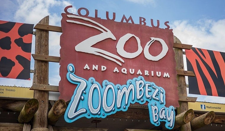 Columbus Zoo's Lantern Festival Returns With 70-Plus Glowing Displays This Fall
