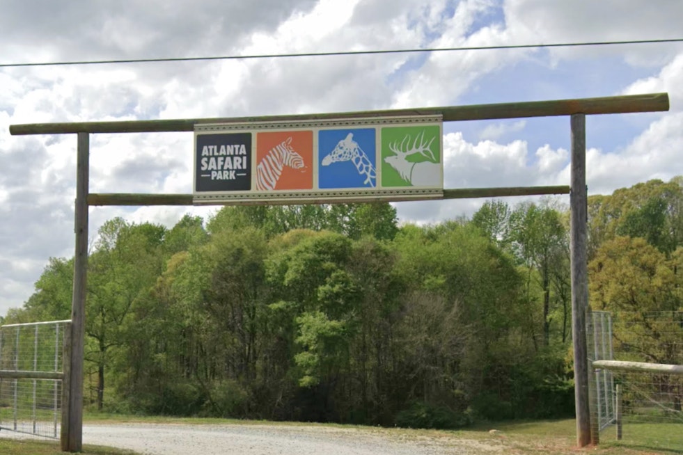 Commerce Safari Park Lets Visitors Walk Free Among Roaming Kangaroos