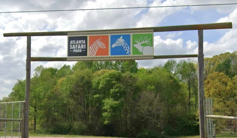 Commerce Safari Park Lets Visitors Walk Free Among Roaming Kangaroos