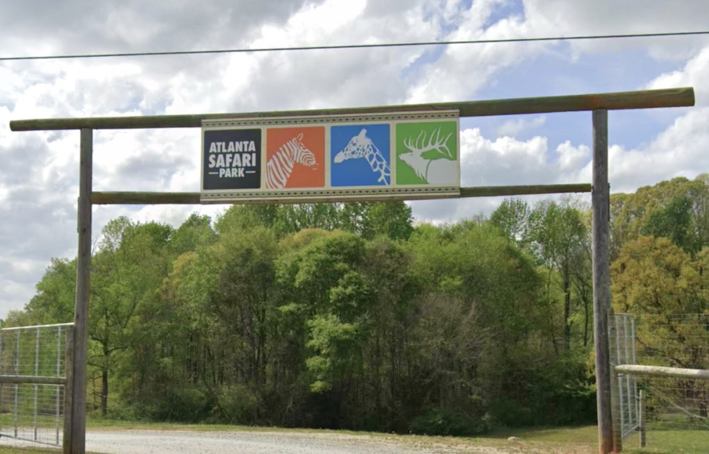 Commerce Safari Park Lets Visitors Walk Free Among Roaming Kangaroos