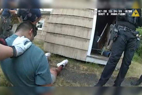 Convicted Felon Drives Stolen Mercedes Into Oncoming Traffic in SeaTac Chase