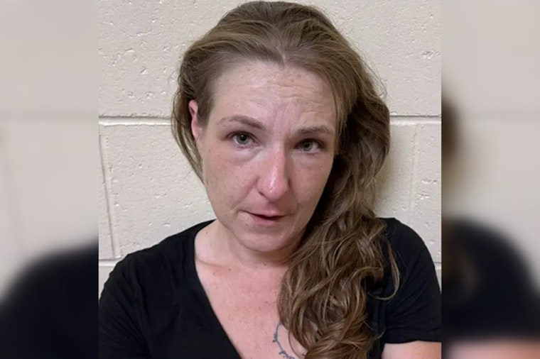 Conway Dog Hits 107.5 Degrees in Hot Car, Vermont Owner Charged With Cruelty