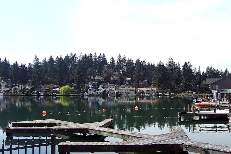 Coyote Attack On 11-Pound Dog In Lake Oswego Fuels Clackamas County Alarm