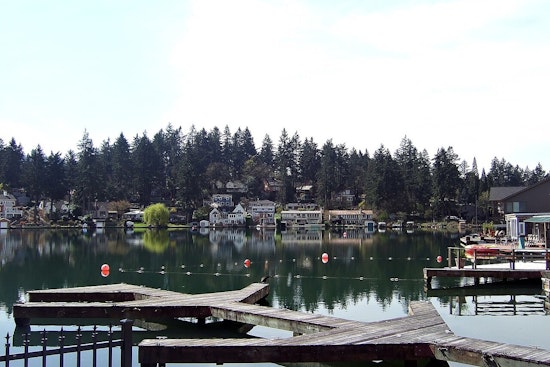 Coyote Attack On 11-Pound Dog In Lake Oswego Fuels Clackamas County Alarm