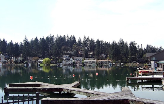 Coyote Attack On 11-Pound Dog In Lake Oswego Fuels Clackamas County Alarm