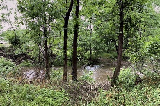 Crestwood Water Main Break Killed 365 Fish, Now Utility Faces State Penalty