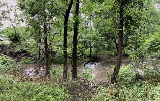 Crestwood Water Main Break Killed 365 Fish, Now Utility Faces State Penalty
