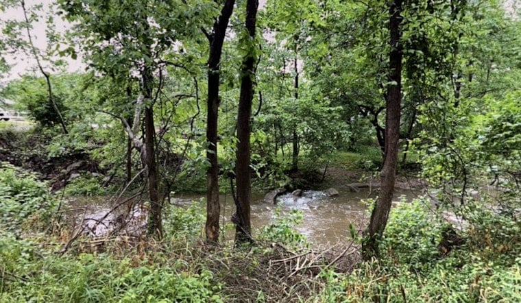 Crestwood Water Main Break Killed 365 Fish, Now Utility Faces State Penalty
