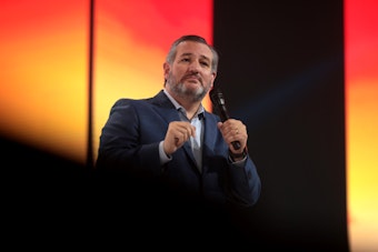 Cruz Sits Alone as Both Parties Skip His Muslim Brotherhood Hearing