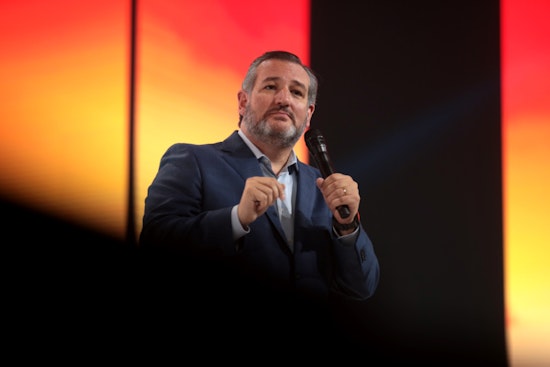 Cruz Sits Alone as Both Parties Skip His Muslim Brotherhood Hearing