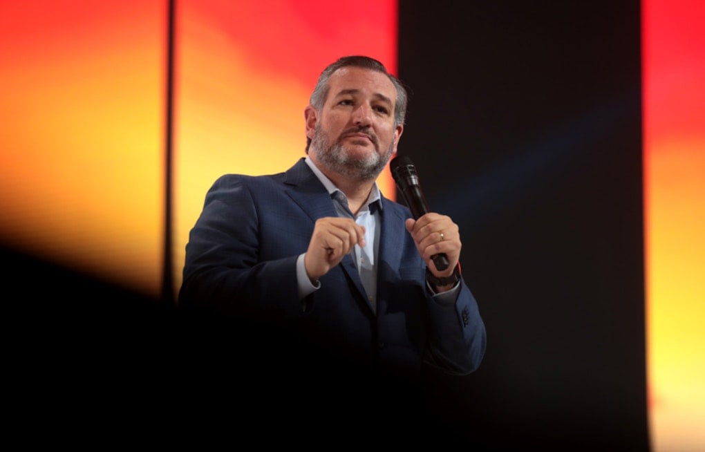 Cruz Sits Alone as Both Parties Skip His Muslim Brotherhood Hearing