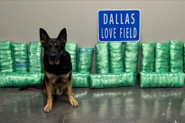 Dallas Airport K9 Bust Nets 23-Year-Old 20 Years for 180-Pound Meth Haul