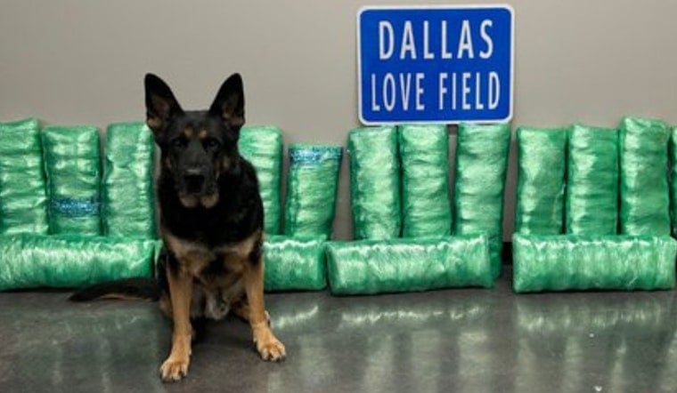 Dallas Airport K9 Bust Nets 23-Year-Old 20 Years for 180-Pound Meth Haul