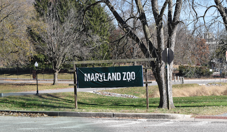 Davis the Cheetah Dies at Maryland Zoo in Baltimore