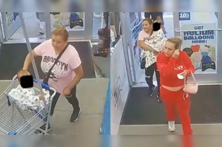 Dawsonville Deputies Hunt Two Caught on Camera in Marketplace Car Break-In